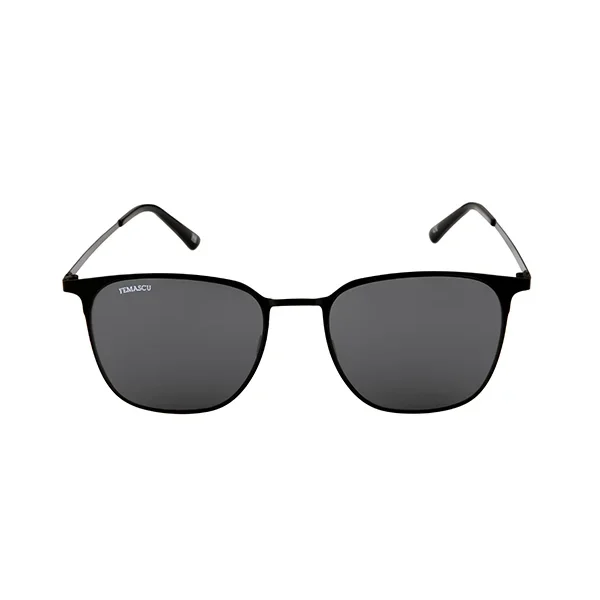 Wayfarer 6004